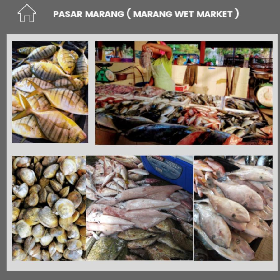 Fishing Village Marang Terengganu Eksteriør billede